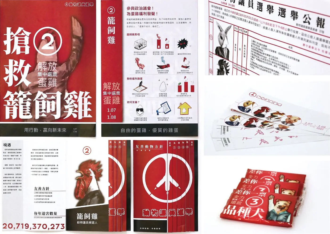 動物議員選舉｜影像 02
