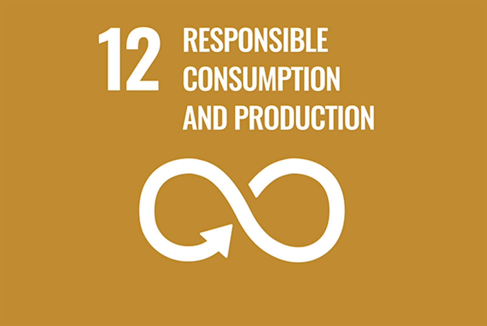 SDG 12 責任消費與生產圖片