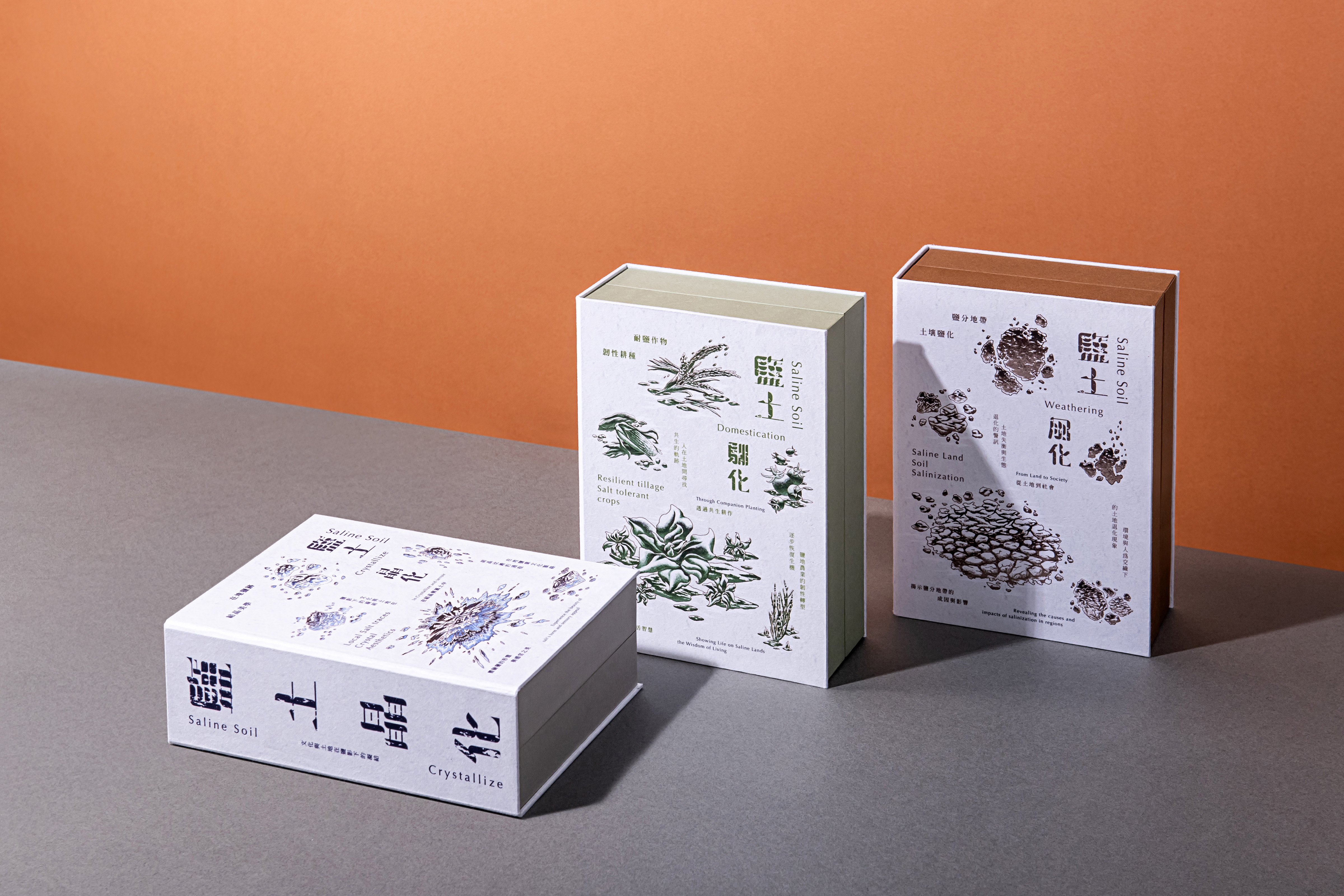 鹽風/台灣西南海岸鹽分地帶品牌推廣